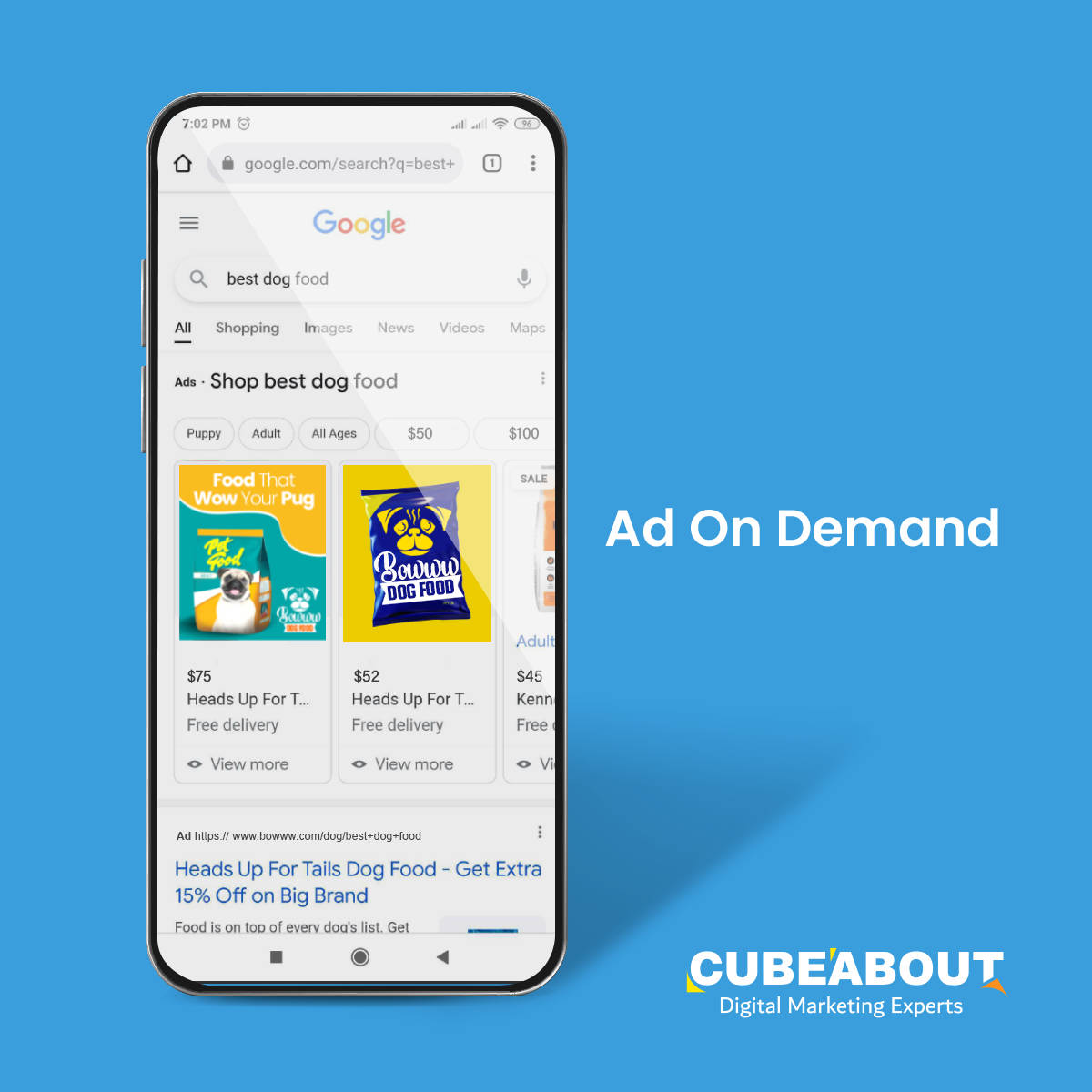 Google Advertising